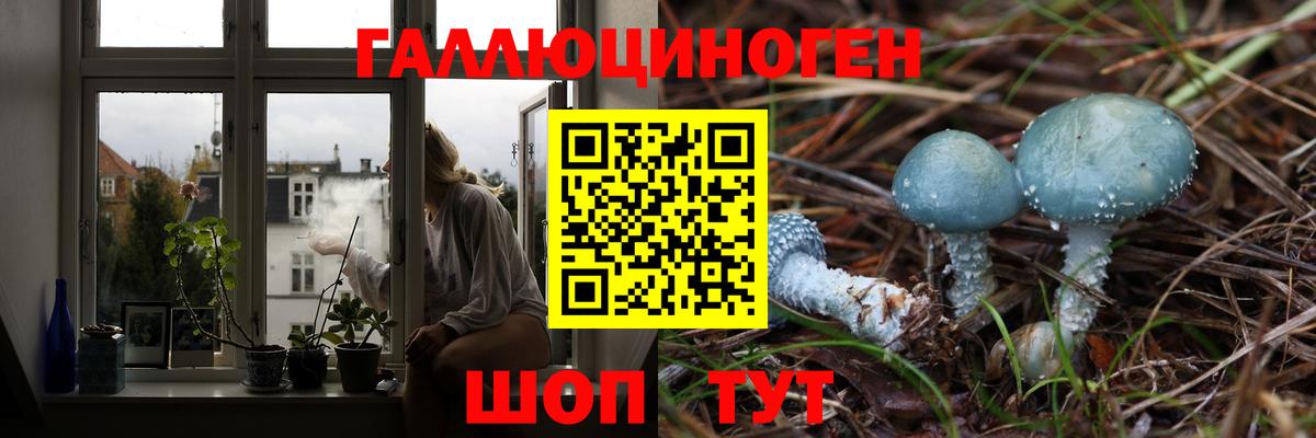 Галлюциногенные грибы мицелий  Балахна  Галлюциногенные грибы мицелий 